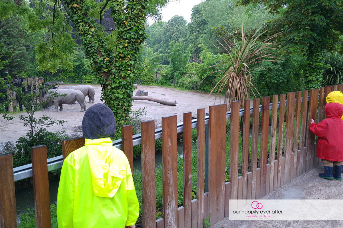 Uitstapjes bij regenweer Tips en de Zoo de Lille our happily ever after ohea
