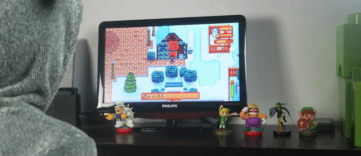 Review Stardew Valley door een acht jarige jongen Stardew Valley Review Nintendo Sofie Lambrecht Mama Blog