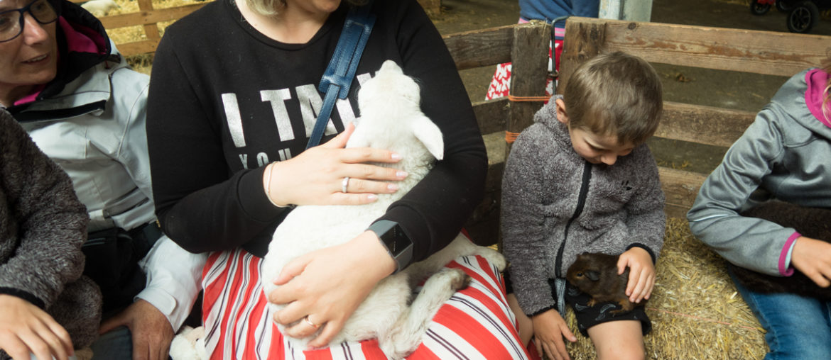 Texel met kinderen Texel met Kinderen