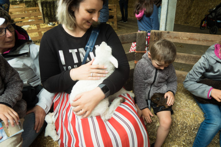 Texel met kinderen Texel met Kinderen