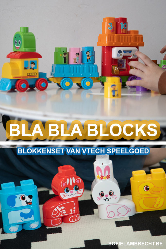 Bla Bla Blocks VTech Speelgoed
