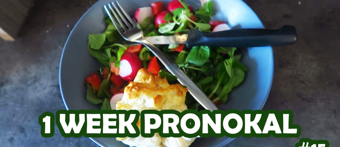 De week van Sofie Lambrecht 15-21 1 week pronokal