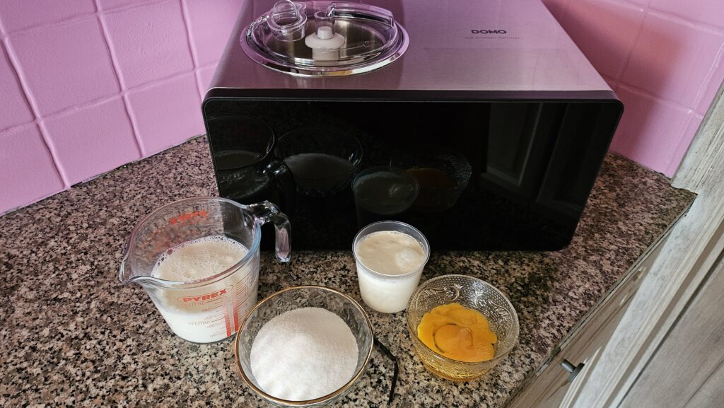 Roomijs maken thuis met ijsmachine van Domo