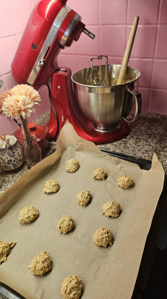 Havermout koekjes recept